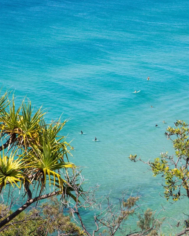 There’s every reason to visit Noosa right now!
Warm ocean temperatures, a fresh wave of new restaurants to try and our exciting Easter flat rate promotion - it’s the perfect excuse to book a holiday! We’re ready and waiting to welcome you to Noosa.
(07) 5448 0966 | hello@nicheholidaysnoosa.com
#NicheHolidaysNoosa #NoosaHolidaysWithNiche #VisitNoosa #HolidayInNoosa #Easter